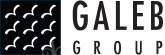 Galeb Group